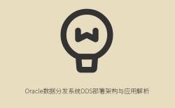 Oracle数据分发系统DDS部署架构与应用解析：分机部署模式详解