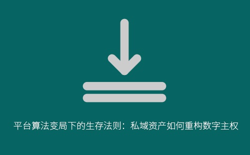 平台算法变局下的生存法则:私域资产如何重构数字主权