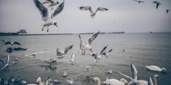Oracle PLSQL Procedure如何进行性能调优分析