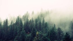 百度还值得做吗？怎么判断用户搜索流量是在PC端还是移动端？