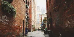 如何使用CSS实现单选按钮选中后显示对应文本