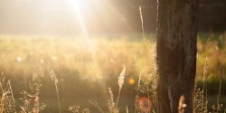 WPS怎么把文件转换成HTM格式