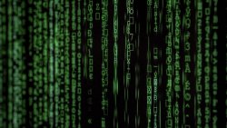 如何配置MySQL集群在一台服务器