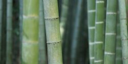 为什么PostgreSQL查询响应慢？优化数据库配置的实用方法