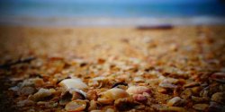 如何使用Qwen2.5-1.5B模型打造本地化AI写作助手