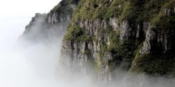 HTML视频支持哪些编码格式，不同编码格式的兼容性情况如何
