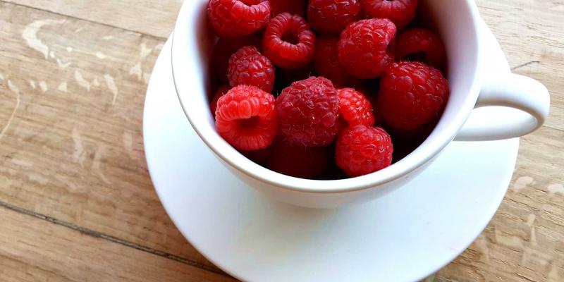 为什么JSON会成为XML的对手,两者有哪些核心差异