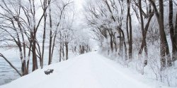 如何统计MySQL binlog中的DML语句