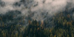 Golang如何使用Kubernetes ConfigMap管理配置