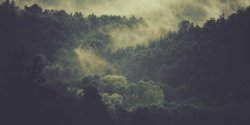 如何在Slick Carousel中集成Lottie动画实现动态轮播效果
