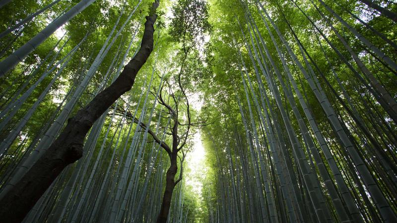 如何通过SQLPlus获取Oracle数据库登录信息