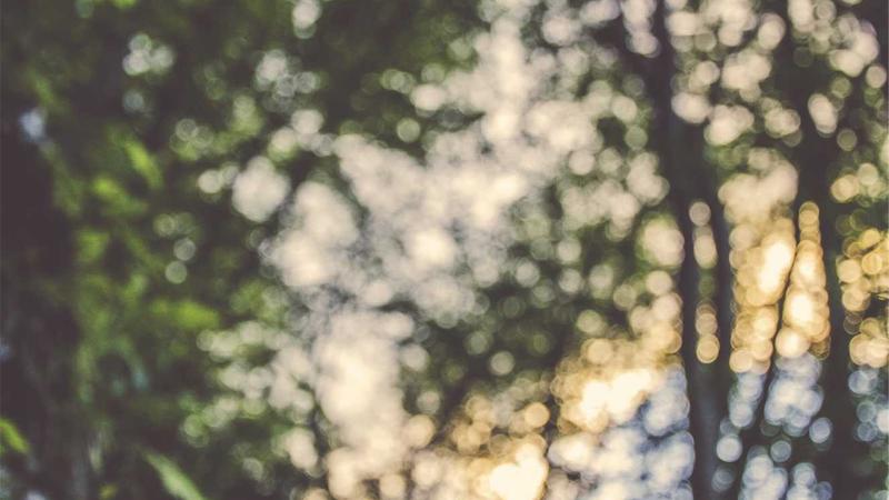 Laravel框架中如何定义路由?有哪些常用的设置方法与实例参考