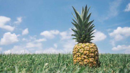 MySQL出现中文乱码该怎么彻底解决