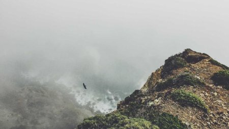 自定义的Oracle用户密码效验程序