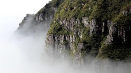 PHP中如何正确创建和管理对象数组