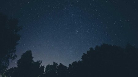php怎么调试接口异常场景？php接口异常输入与极端情况调试方法