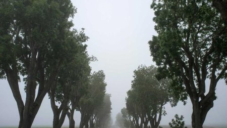 什么是浮动以及浮动的清除方法