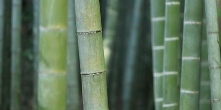 如何用BOM实现页面的拖拽上传？