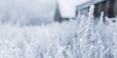 Python金丝雀发布需要关注哪些监控指标