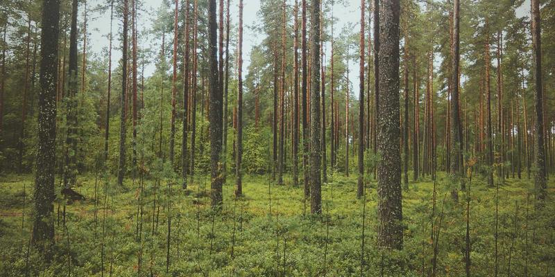 Java 归并排序中子数组范围越界问题的根源与正确实现