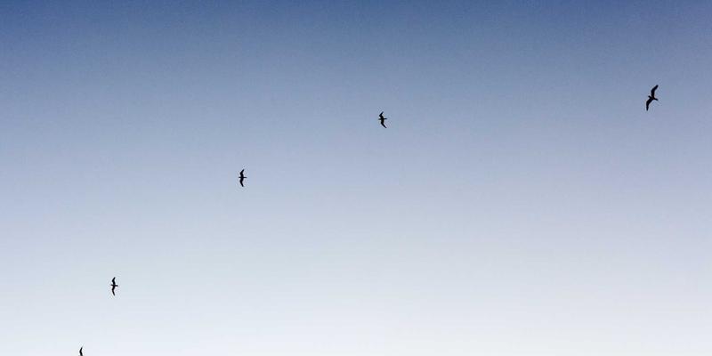 C#如何自定义控件?C#自定义控件快速上手实战教程