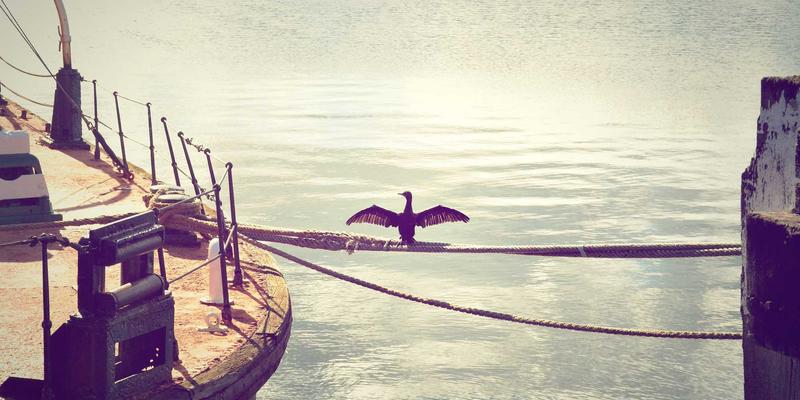 如何用Java实现随机抽奖系统