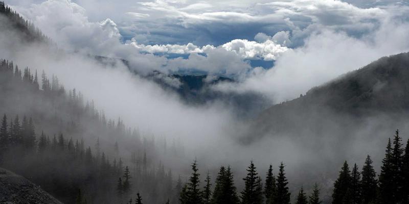 c语言中default的含义是什么
