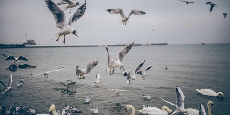 如何在查询结果中添加一列表示记录的行数