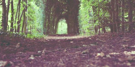 PHP怎样批量创建多张表