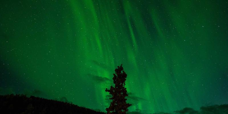 如何让网格容器中的子元素显示统一渐变背景,而容器空白区域保持白色