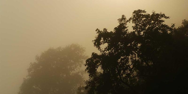 flex-shrink如何计算?flex-shrink的计算方法介绍
