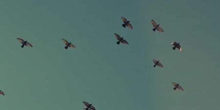 C++函数中引用和指针传递在OpenCV库中怎么应用