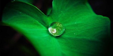如何通过css clear属性优化表单布局