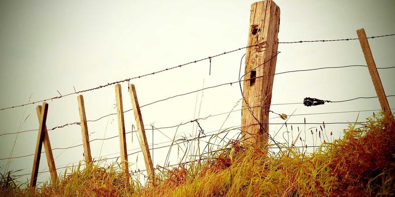 解决Electron-vite预览空白屏问题为什么要用HashRouter