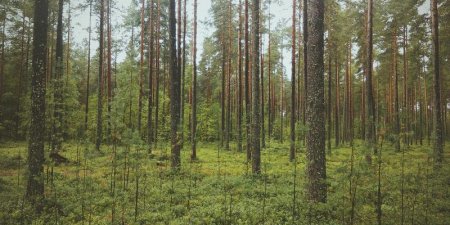 HTML网页如何下载？整页和源码的保存方法有哪些
