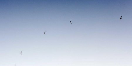 如何在CodeIgniter框架中实现搜索关键词高亮显示