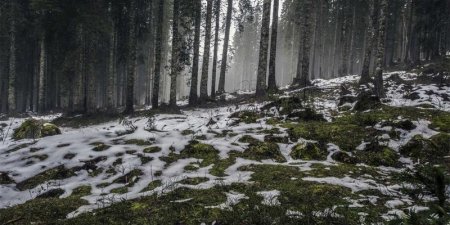 Python调试中print和logging该怎么选