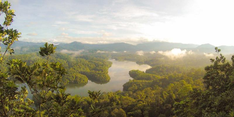 Linux Mono的概念是什么