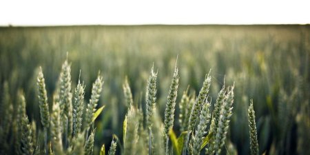 如何用XML表示时间序列数据