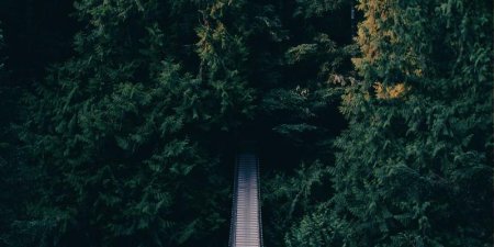 Python怎么用内存映射读大文件 mmap模块零拷贝高效读取