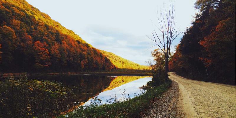 mysql新建数据库选什么字符集