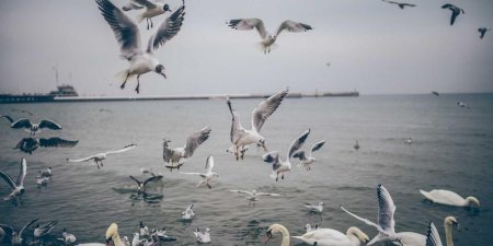 JS定时器怎么使用