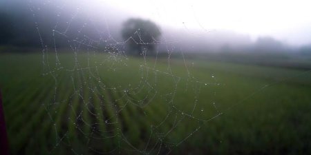 如何设计可扩展的JavaScript插件系统架构
