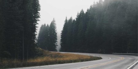PHP中如何基于book_title合并关联数组并更新指定字段