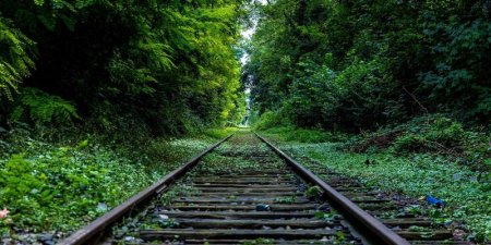 怎么解决Java应用在Linux服务器上文件句柄数超限报错