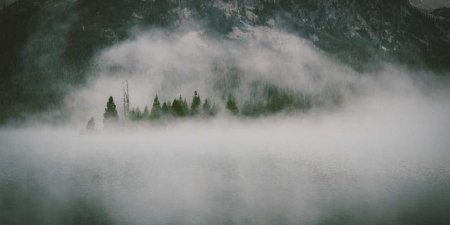 如何用Flexbox和width: 100%实现响应式图片的缩放与行内显示