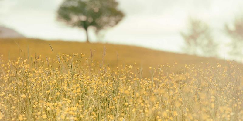 如何清除包含空HTML标签的空标题元素