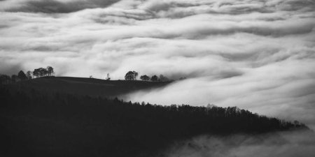 在Java中Charset类如何处理字符编码 Java编码转换解析