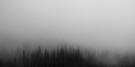 如何选择结构体切片与结构体指针切片：性能、内存与GC的权衡指南