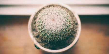 css径向渐变怎么用？新手快速掌握radial-gradient写法